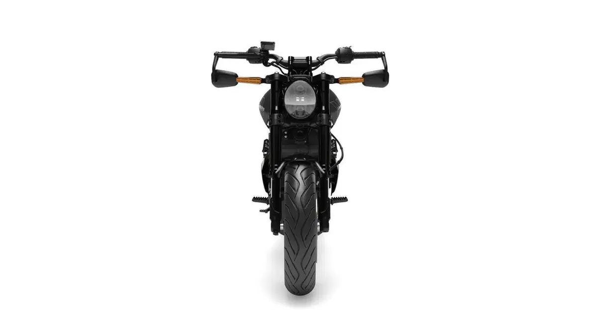 LiveWire S2 S2 Alpinista (2024 - 26) (8)