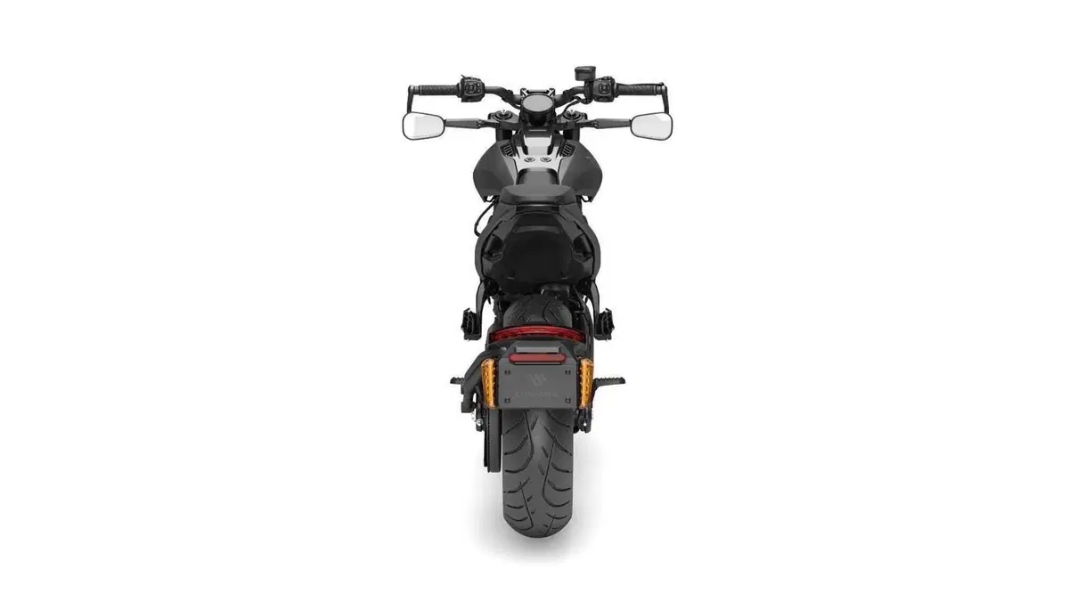 LiveWire S2 S2 Alpinista (2024 - 26) (4)