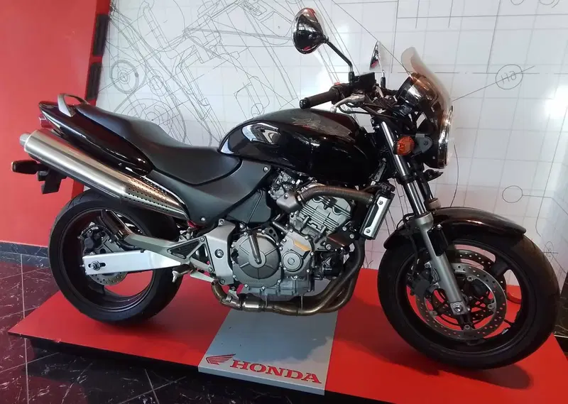 Honda Hornet 600 (2000 - 02) (11)