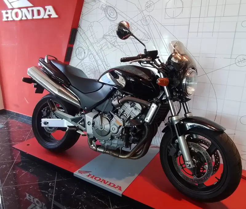 Honda Hornet 600 (2000 - 02) (12)