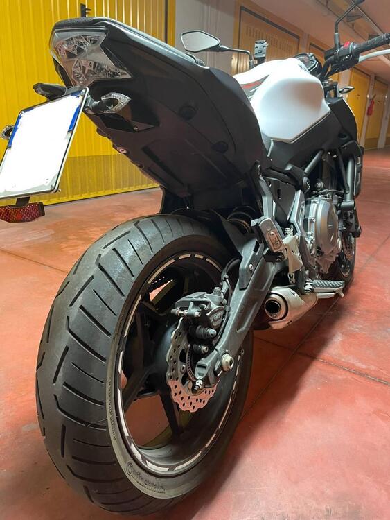 Kawasaki Z 650 Performance (2019 - 20) (4)