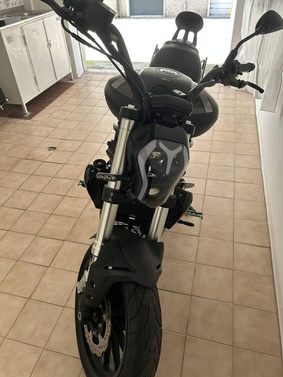 Benelli 502 C (2021 - 25)