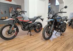 Royal Enfield Himalayan 450 (2024 - 25) nuova