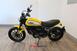 Ducati Scrambler 800 Icon (2017 - 20) (6)