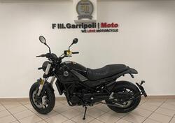 Benelli Leoncino 500 (2021 - 25) nuova