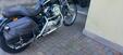 Harley-Davidson 1200 Custom (2001 - 03) - XL 1200C (8)