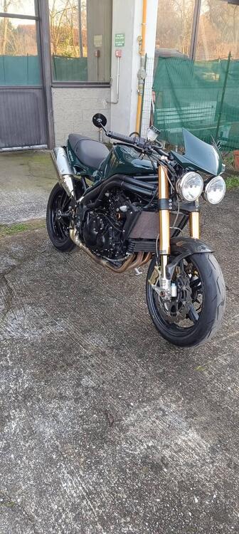 Triumph Speed Triple 1050 (2005 - 11)