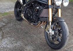 Triumph Speed Triple 1050 (2005 - 11) usata