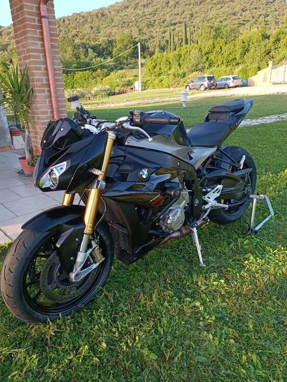 Bmw S 1000 R (2014 - 16) (2)