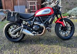 Ducati Scrambler 800 Icon (2021 - 22) usata