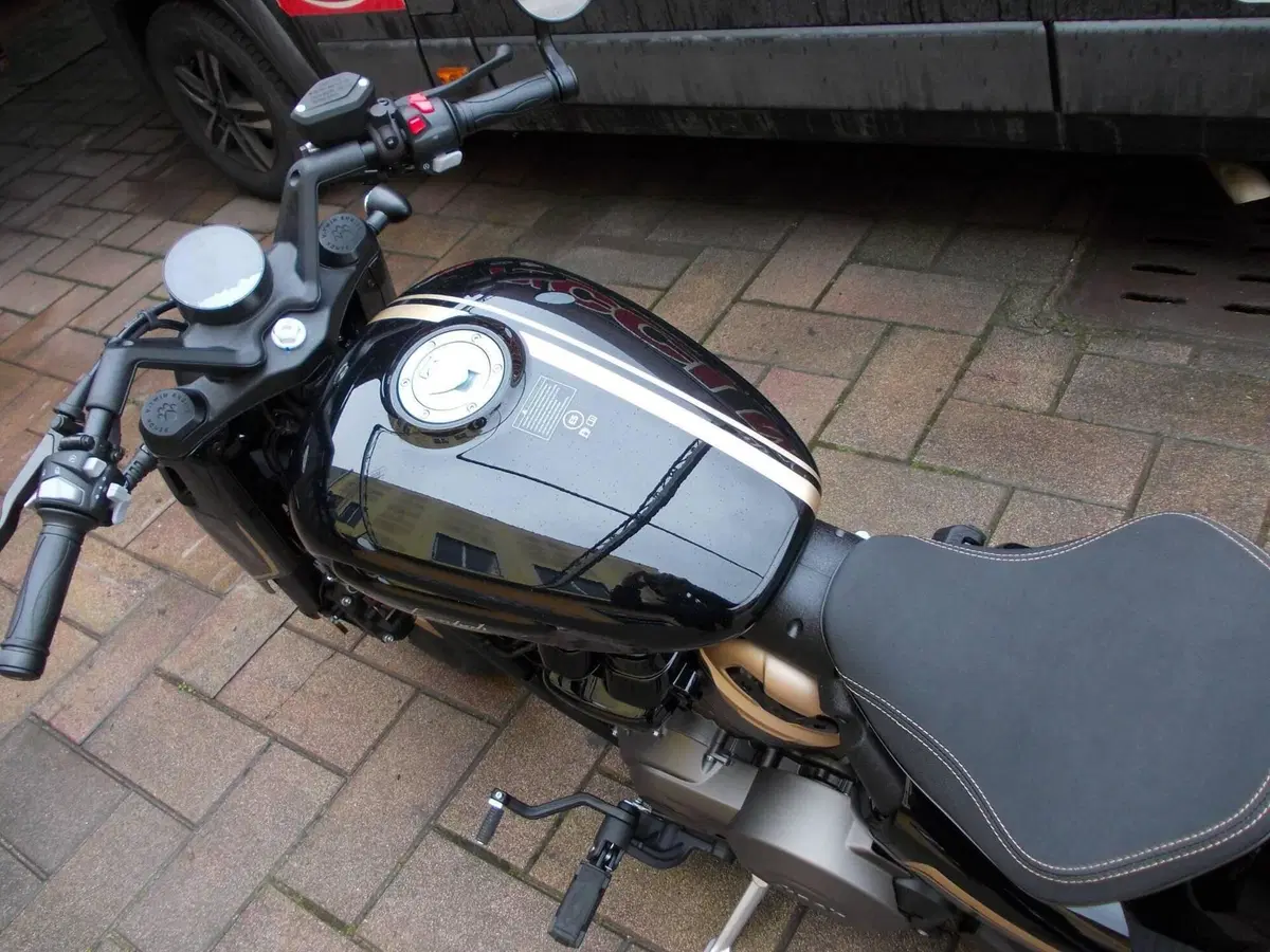 Benda Motorcycles Napoleon Bob 500 (2024 - 26) (6)