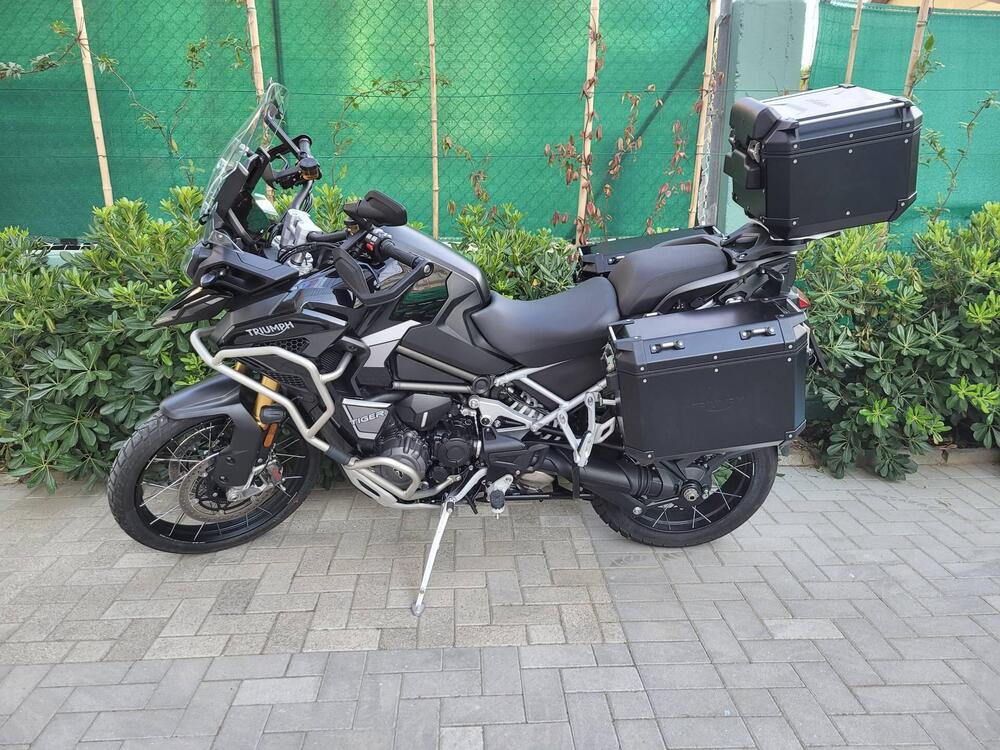 Triumph Tiger 1200 Rally Explorer (2022 - 23) (3)