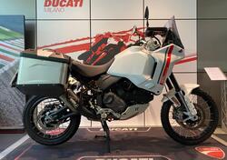 Ducati DesertX (2022 - 25) usata