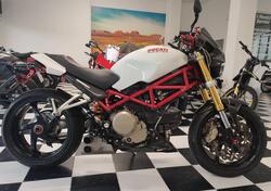 Ducati Monster S2 R (2004 - 07) usata