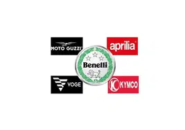 Model.CompanyName