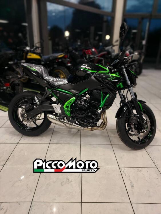 Kawasaki Z 650 (2025) (3)