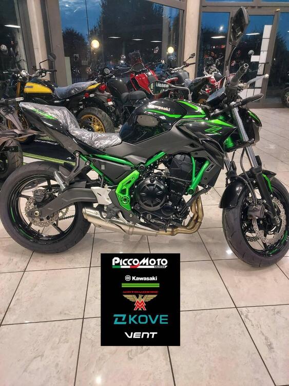 Kawasaki Z 650 (2025) (4)