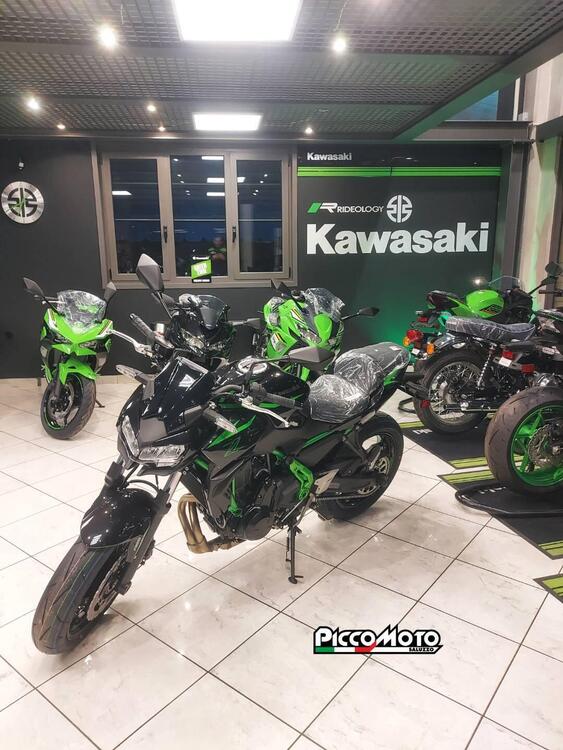 Kawasaki Z 650 (2025) (5)