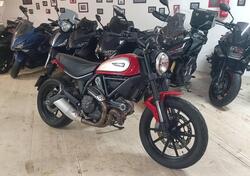 Ducati Scrambler 800 Icon (2015 - 16) usata