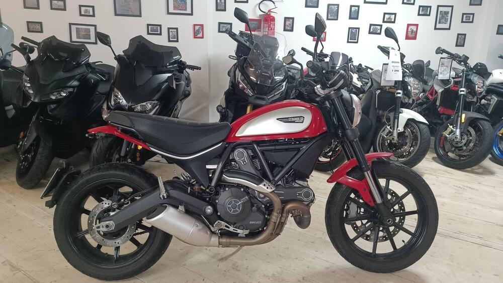 Ducati Scrambler 800 Icon (2015 - 16) (2)