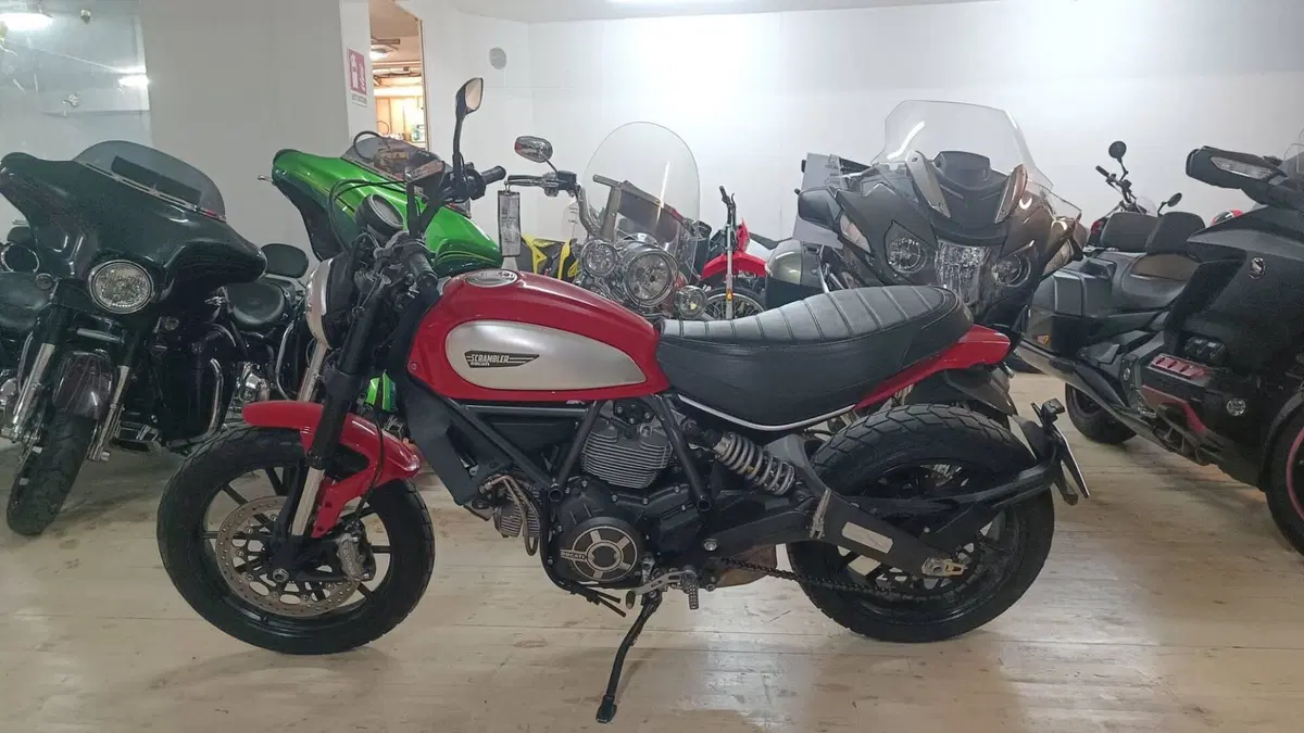Ducati Scrambler 800 Icon (2015 - 16) (4)