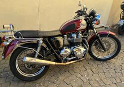 Triumph Bonneville T100 (2008 - 16) usata