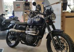 Triumph Scrambler (2006 - 17) usata