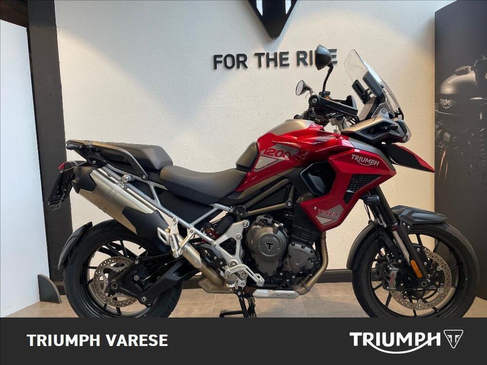 Triumph Tiger 1200 GT Pro (2024 - 25)