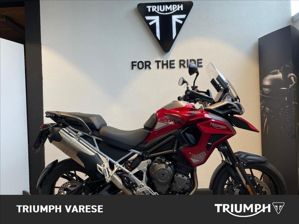 Triumph Tiger 1200 GT Pro (2024 - 25) (5)