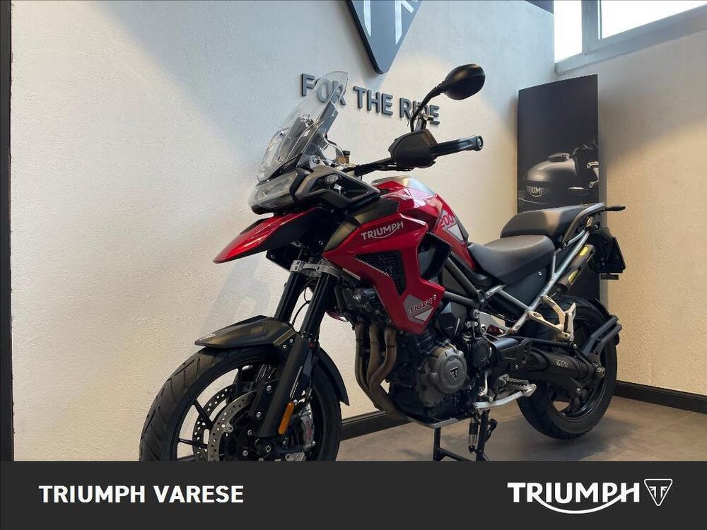 Triumph Tiger 1200 GT Pro (2024 - 25) (4)