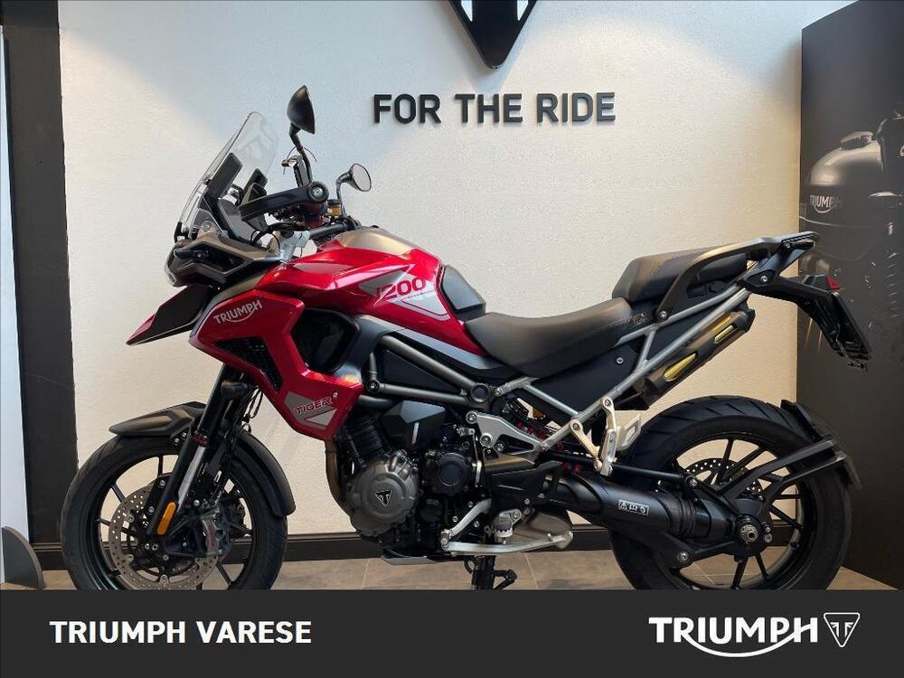 Triumph Tiger 1200 GT Pro (2024 - 25) (2)