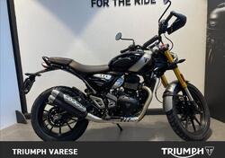 Triumph Scrambler 400 X (2024 - 25) usata