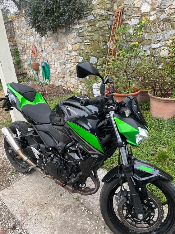 Kawasaki Z 400 (2023) (3)