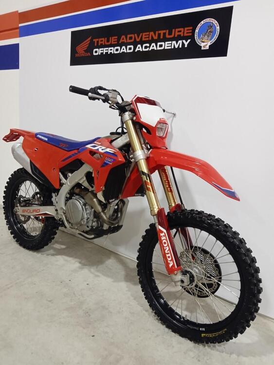 Honda CRF 450 RX Enduro (2024) (2)