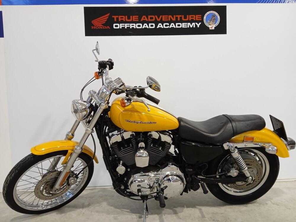 Harley-Davidson 1200 Low (2006 - 07) - XL 1200L (3)