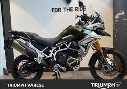 Triumph Tiger 900 Rally Pro (2020 - 23) usata