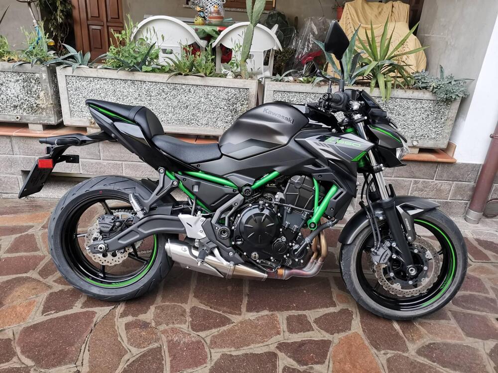 Kawasaki Z 650 (2021 - 24)