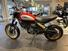 Ducati Scrambler 800 Desert Sled (2017 - 20) (8)