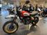 Ducati Scrambler 800 Desert Sled (2017 - 20) (6)