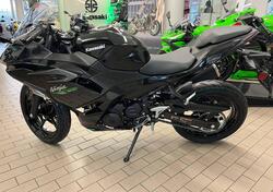 Kawasaki Ninja 500 (2024 - 25) usata