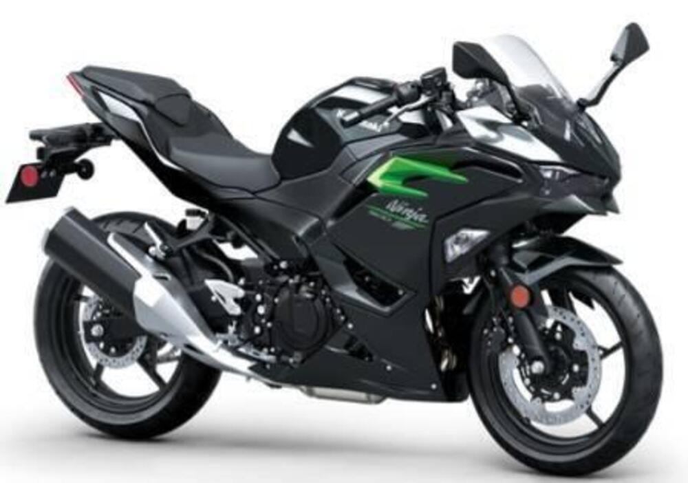 Kawasaki Ninja 500 (2024 - 25) (2)