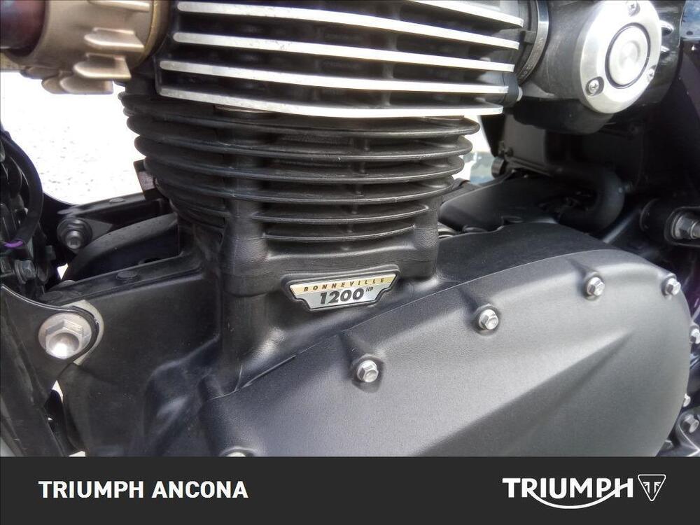 Triumph Speed Twin 1200 (2021 - 24) (3)