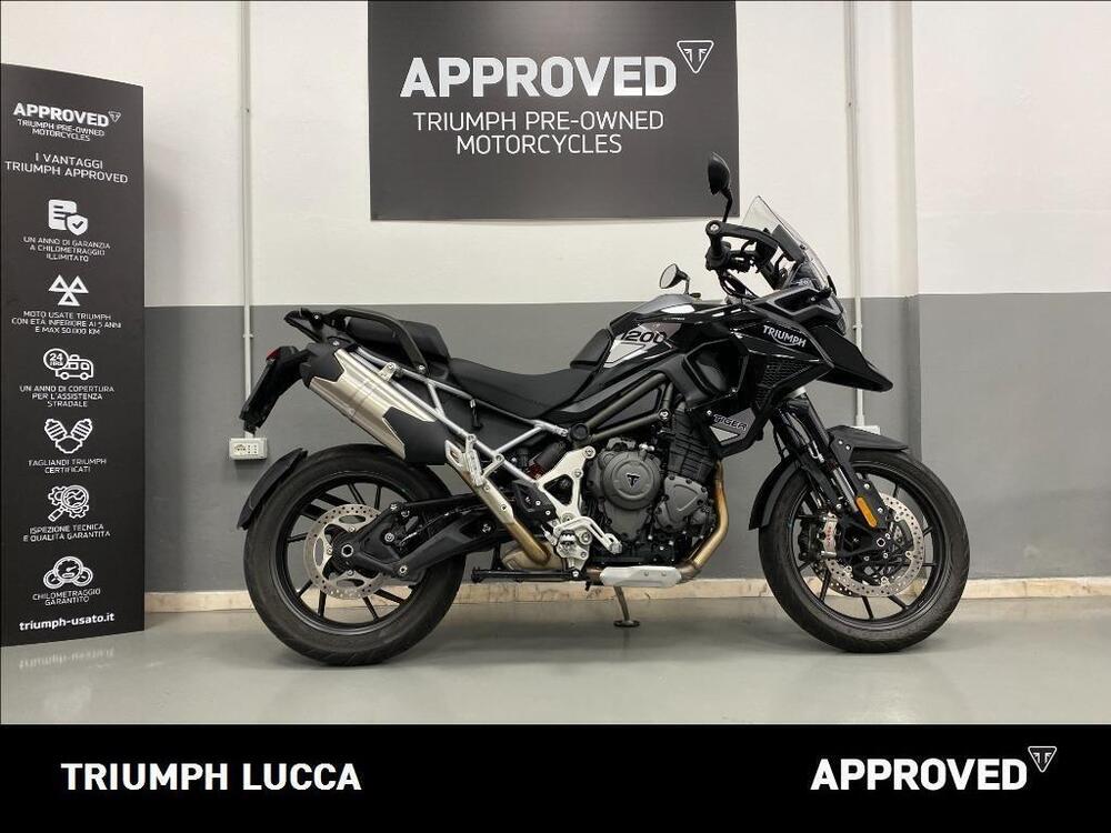 Triumph Tiger 1200 GT Pro (2024 - 25)