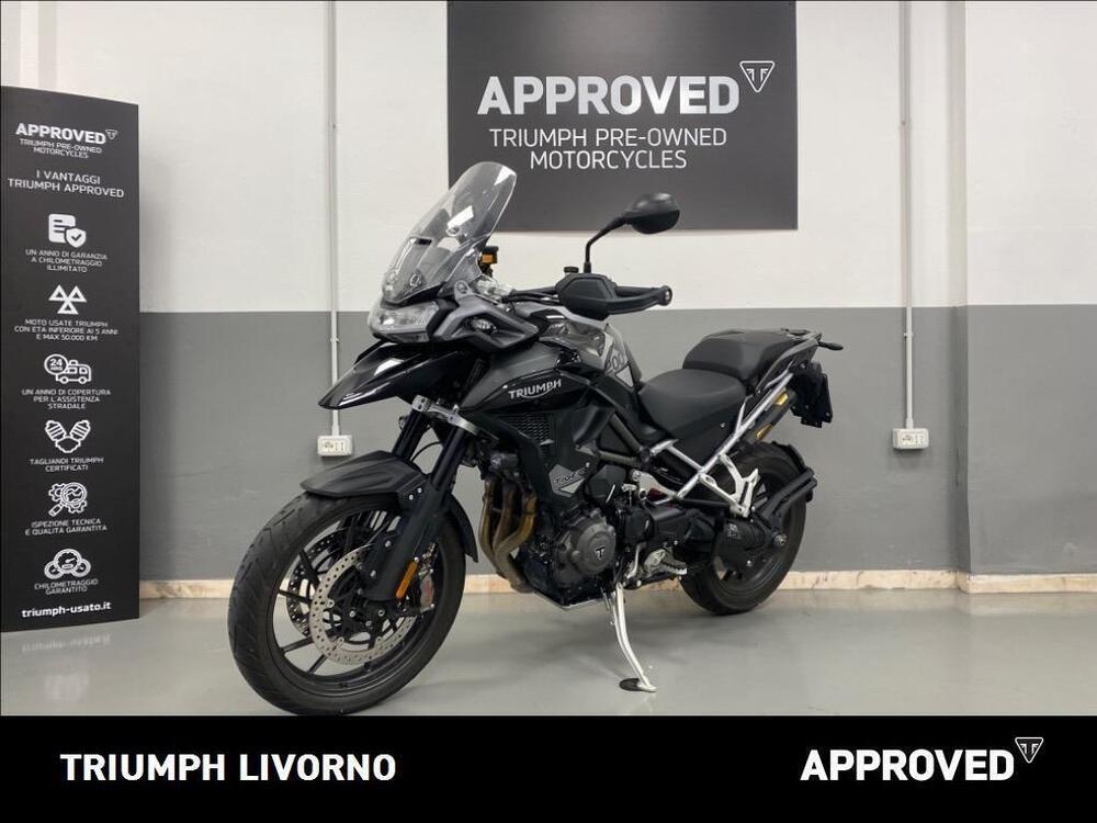 Triumph Tiger 1200 GT Pro (2024 - 25) (5)