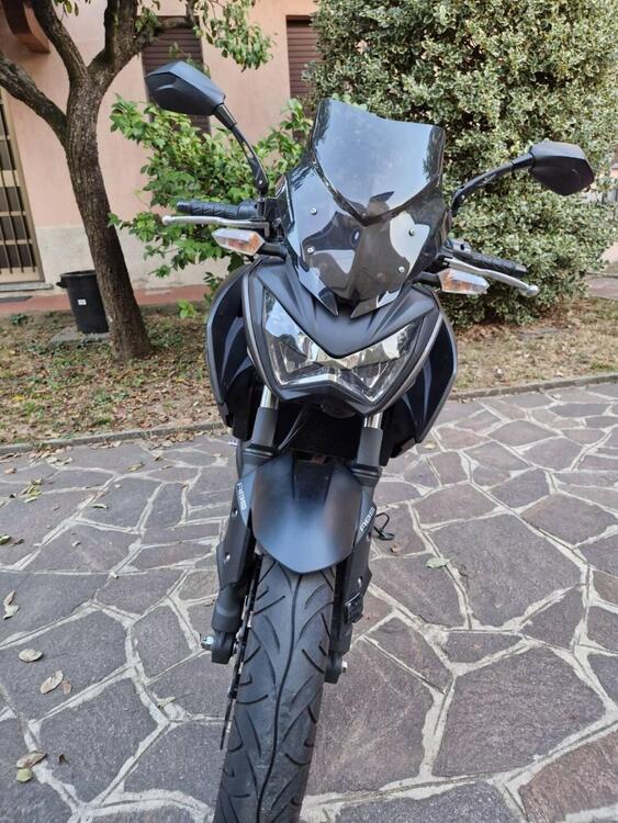 Kawasaki Z 300 ABS (2015 - 16) (3)