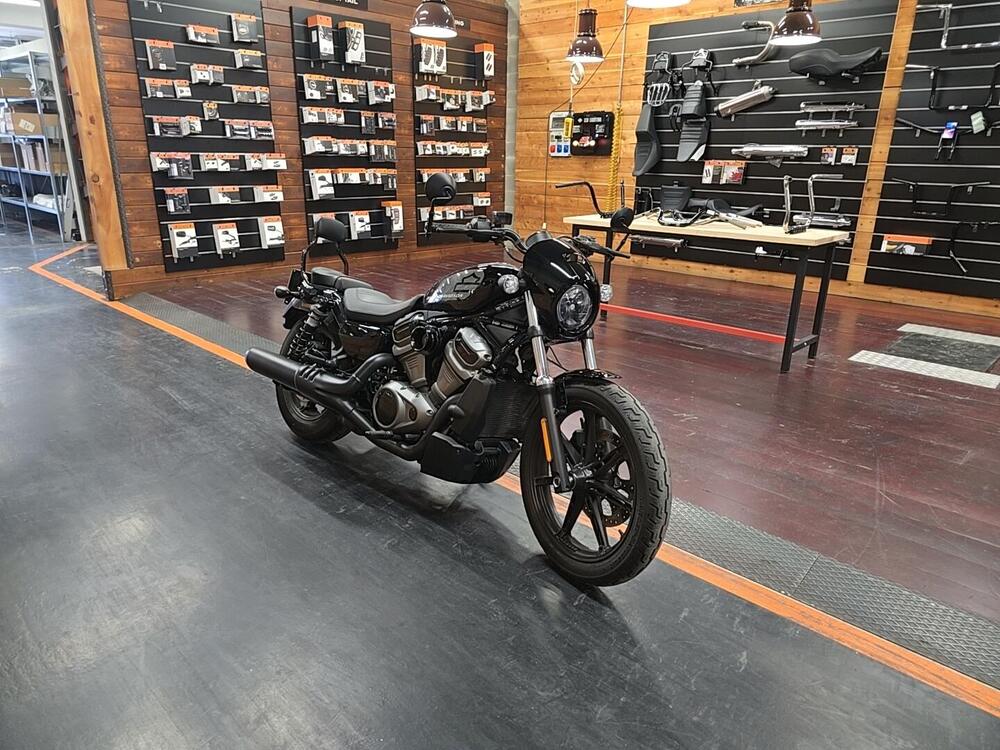 Harley-Davidson Nightster Special (2023 - 25)