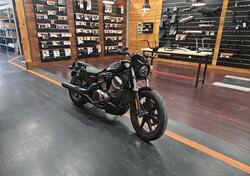 Harley-Davidson Nightster Special (2023 - 25) usata