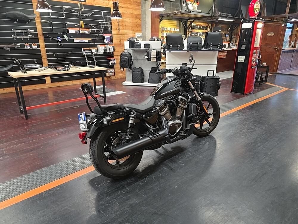 Harley-Davidson Nightster Special (2023 - 25) (2)