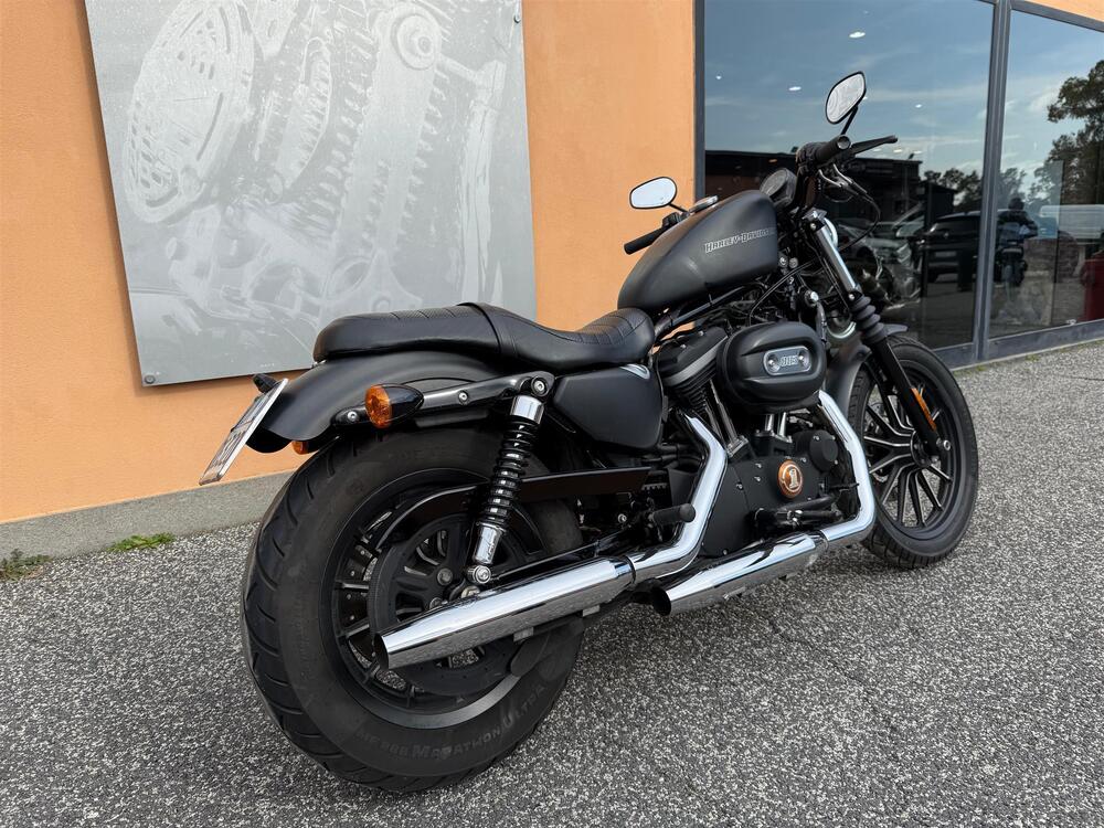 Harley-Davidson 883 Iron (2009 - 11) - XL 883N (3)