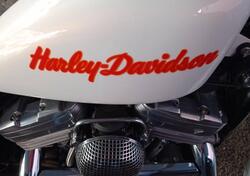 Harley-Davidson 883 Standard (1994 - 00) - XLH usata